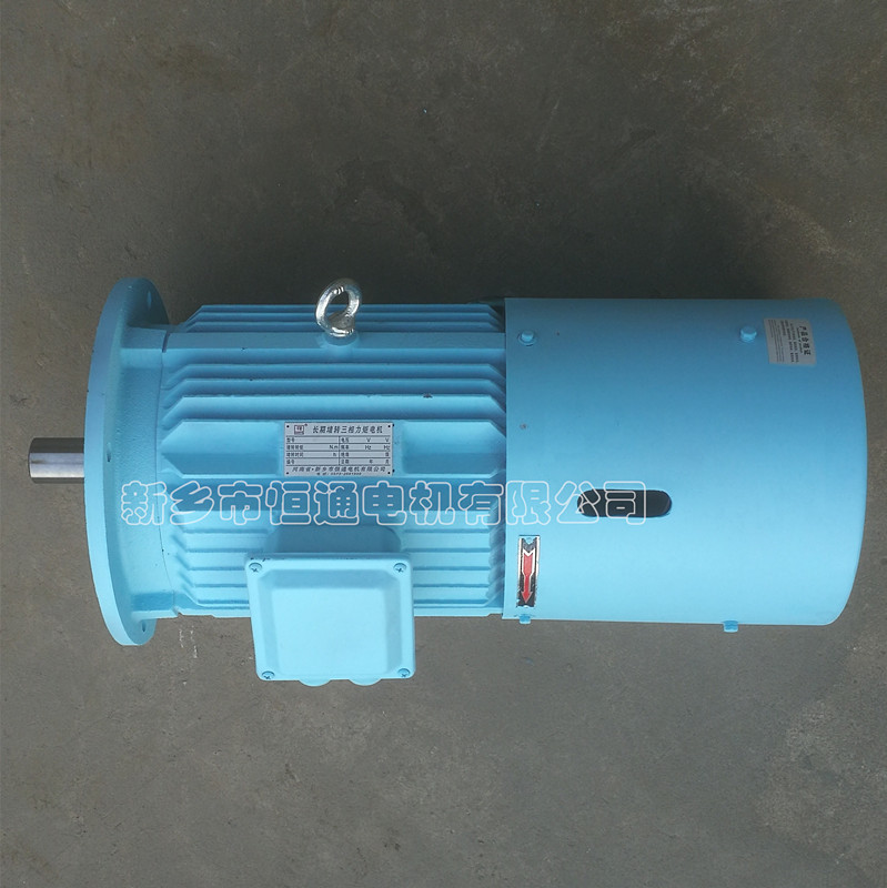 Long-term stall torque motor。